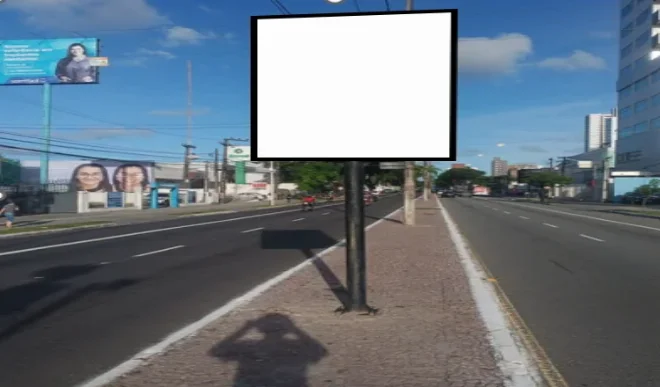 256no