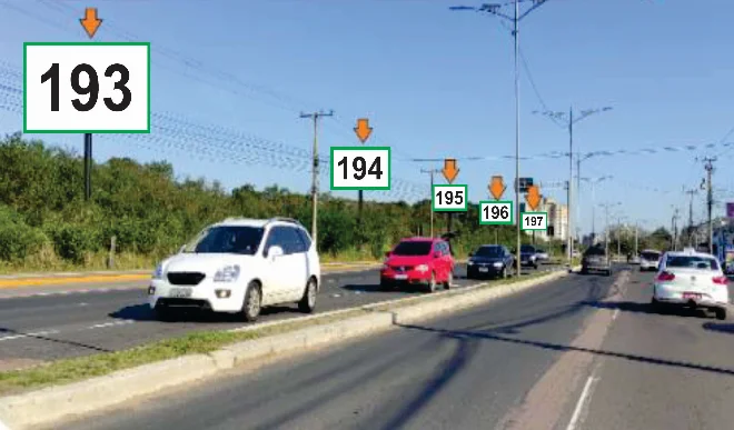 195-gr