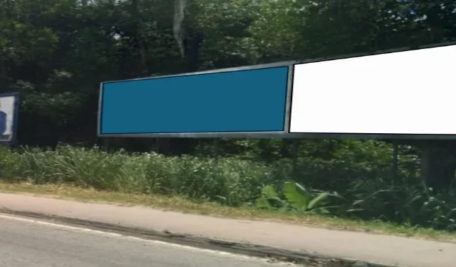 29co