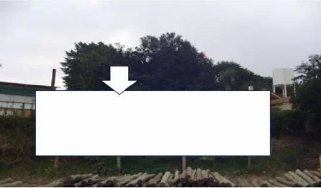 572n
