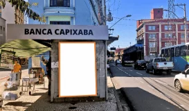 Ref.: C1-517MM
