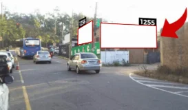Ref.: 1255PY